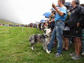 Grande Festa della Montagna e 6° Campionato Cani Pastore per Bovini - FOTOGALLERY